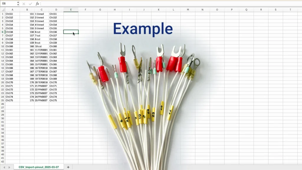 The four-column CSV structure explained, with example names printed on heat shrink at the wire ends